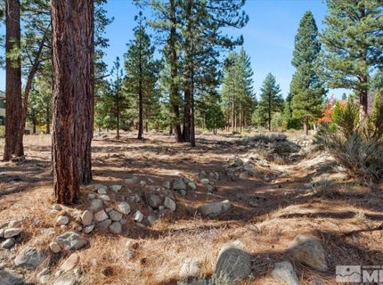 20500 Margaux Road, Reno, NV 89511 Photo