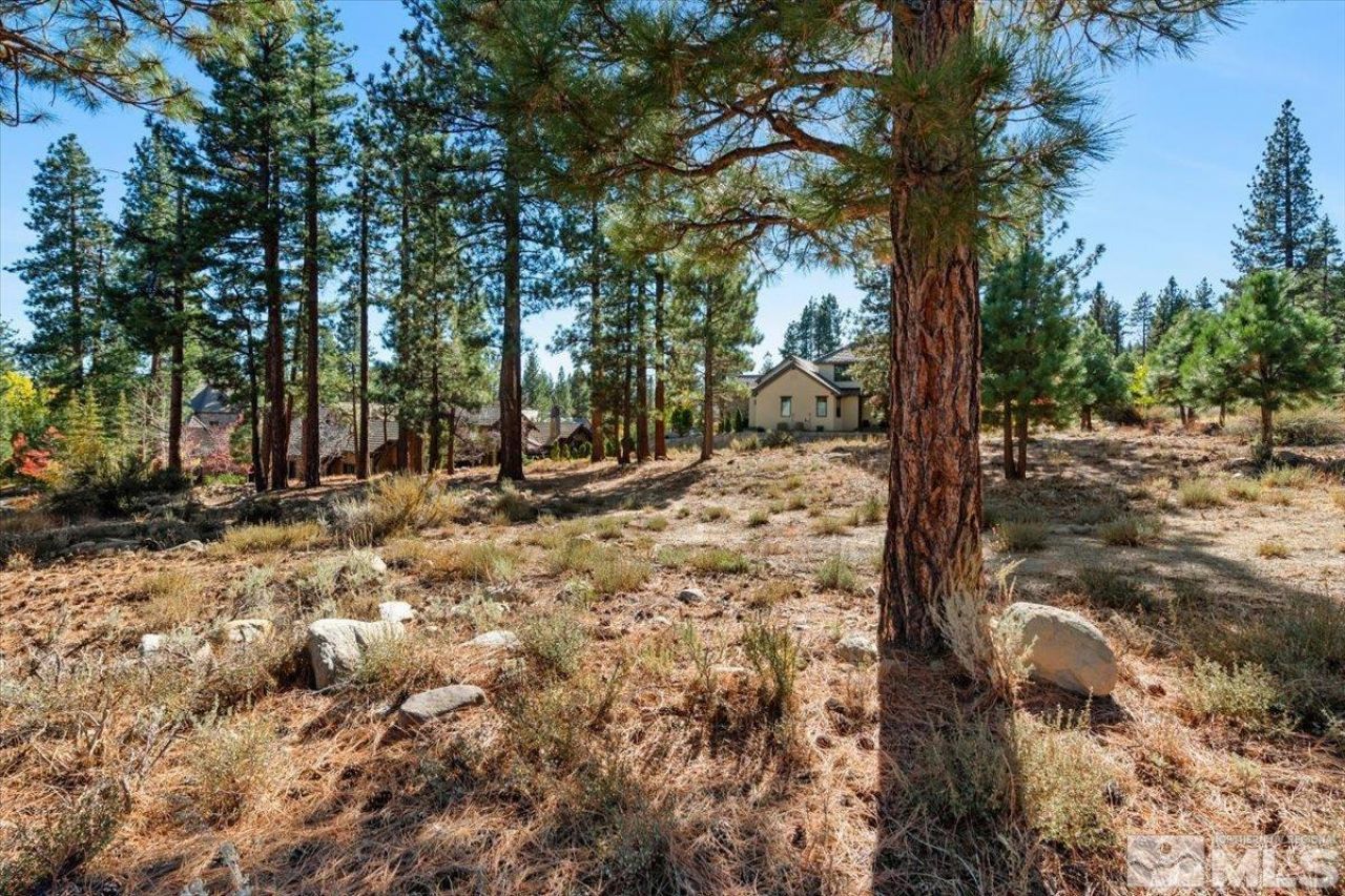 20500 Margaux Road, Reno, NV 89511 Photo