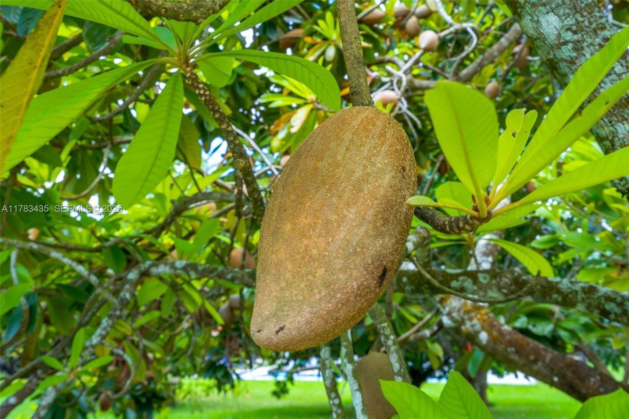 28505 SW 207th Ave, Homestead, FL 33030 Photo