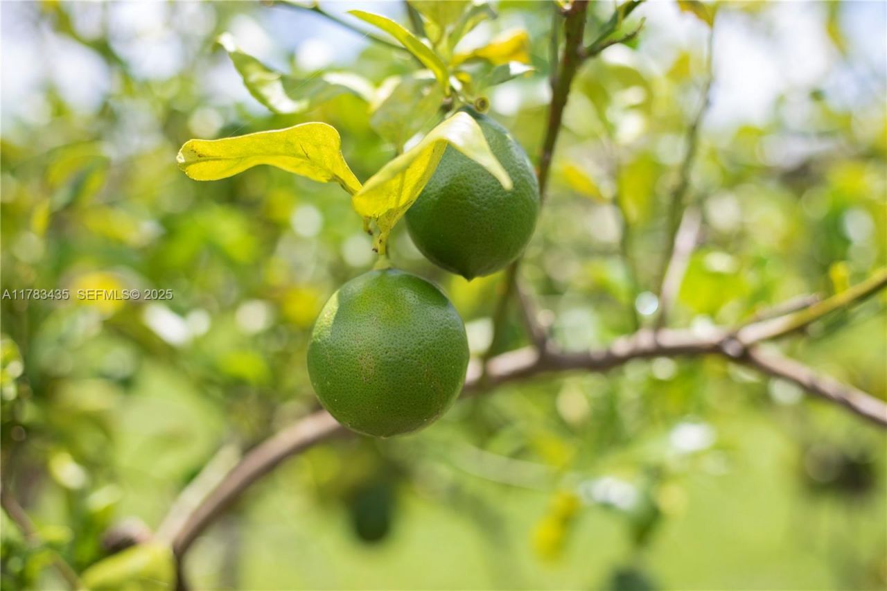 28505 SW 207th Ave, Homestead, FL 33030 Photo