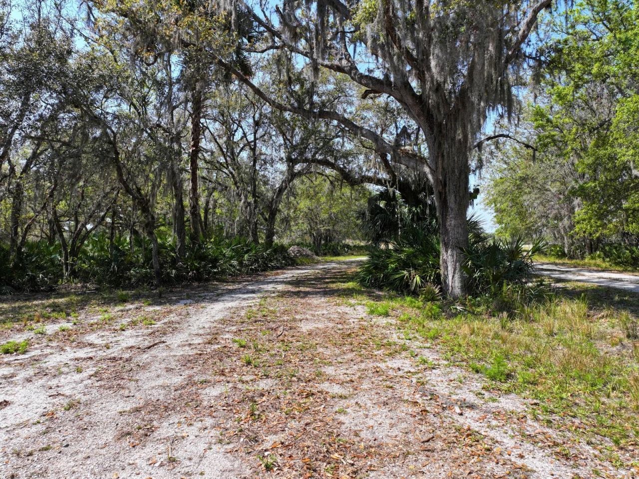 Amber Bell Trail, Lake Placid, FL 33852 Photo