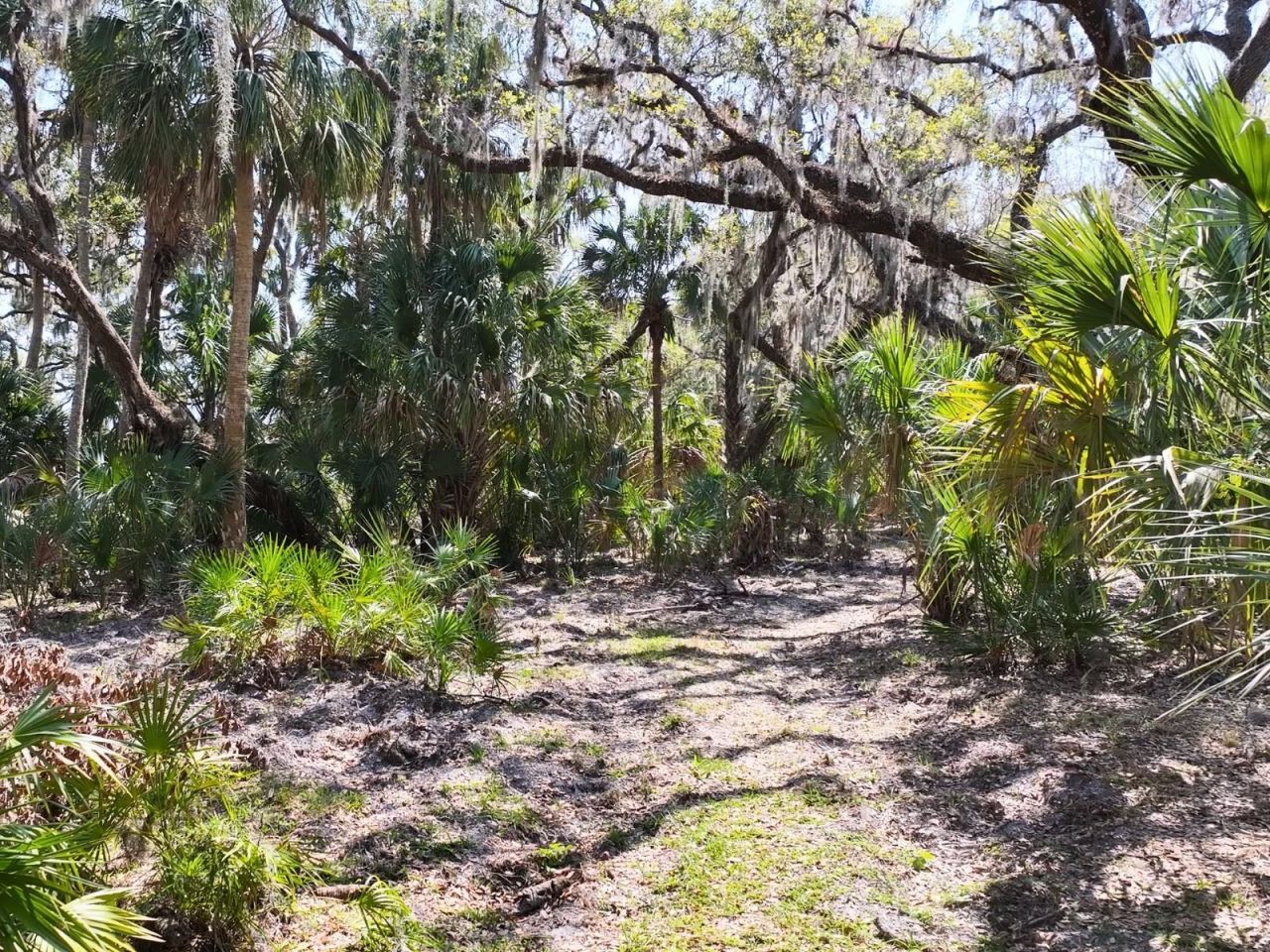Amber Bell Trail, Lake Placid, FL 33852 Photo