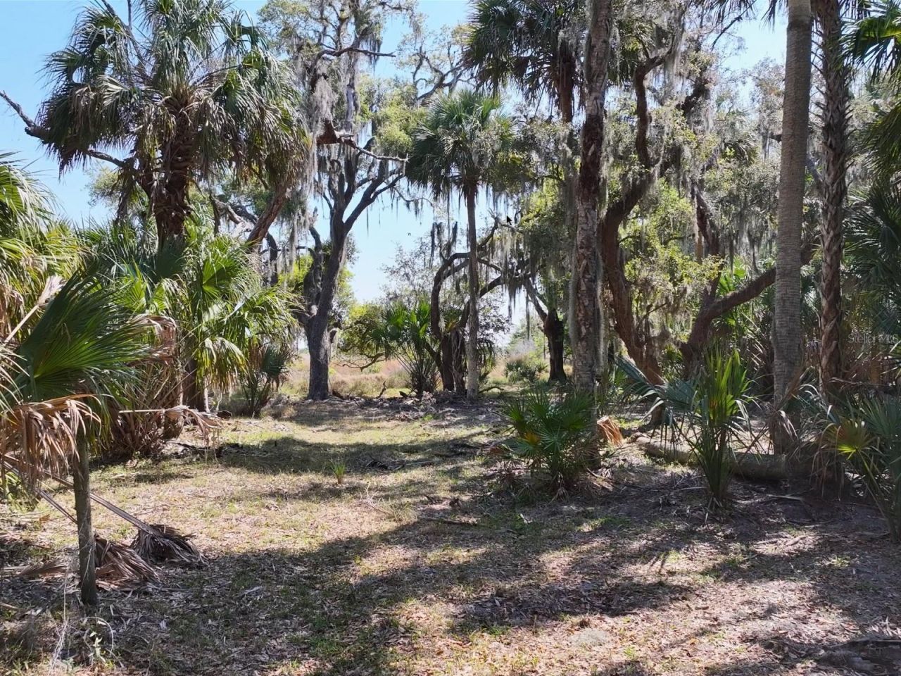 Amber Bell Trail, Lake Placid, FL 33852 Photo