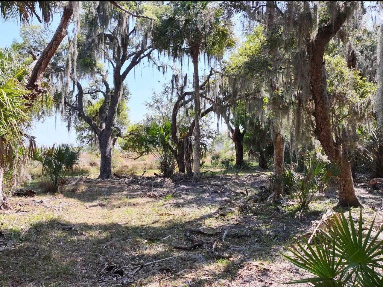 Amber Bell Trail, Lake Placid, FL 33852 Photo