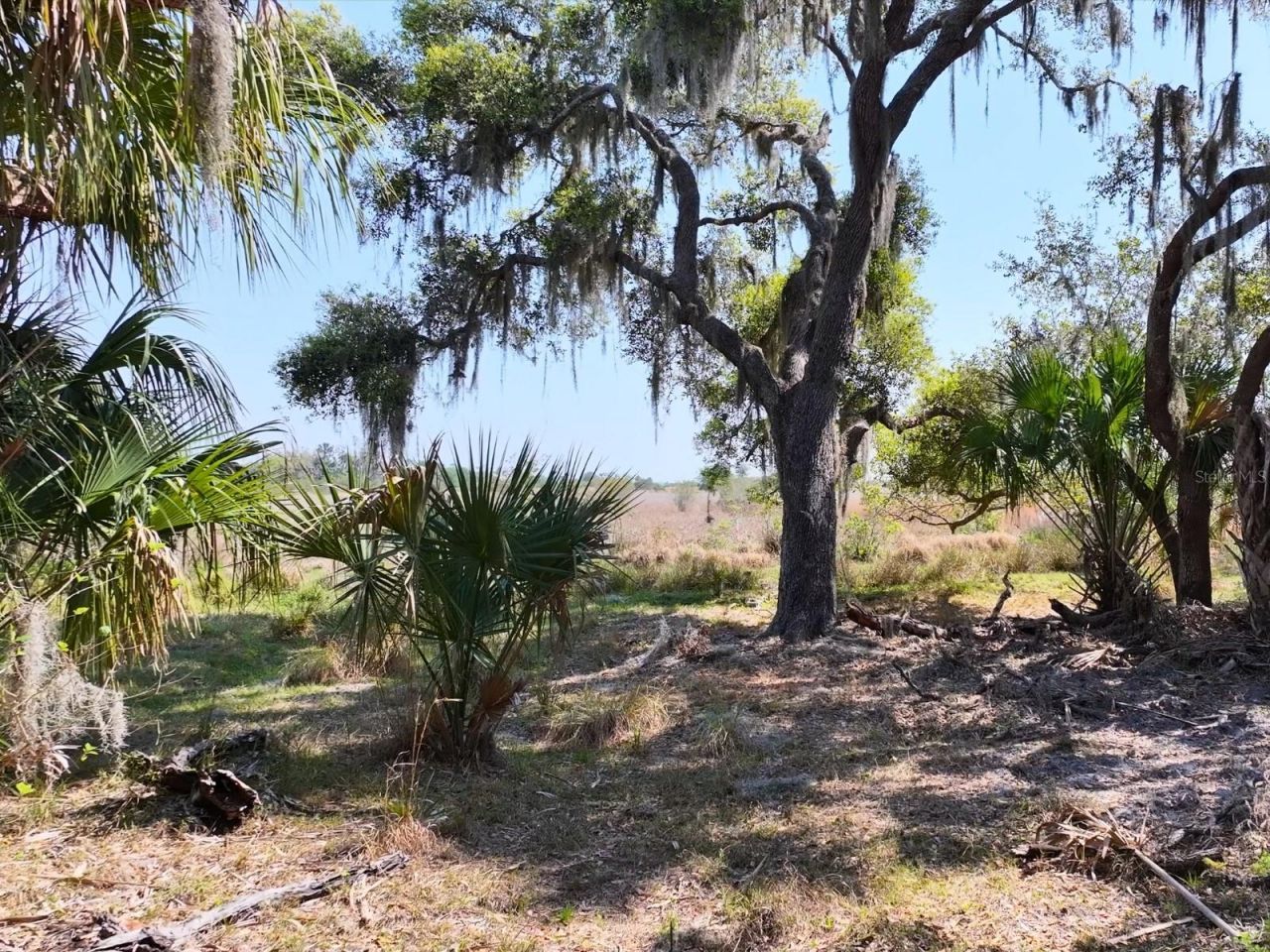 Amber Bell Trail, Lake Placid, FL 33852 Photo