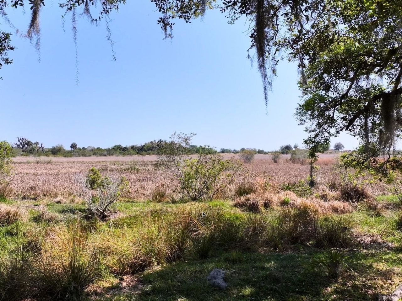 Amber Bell Trail, Lake Placid, FL 33852 Photo