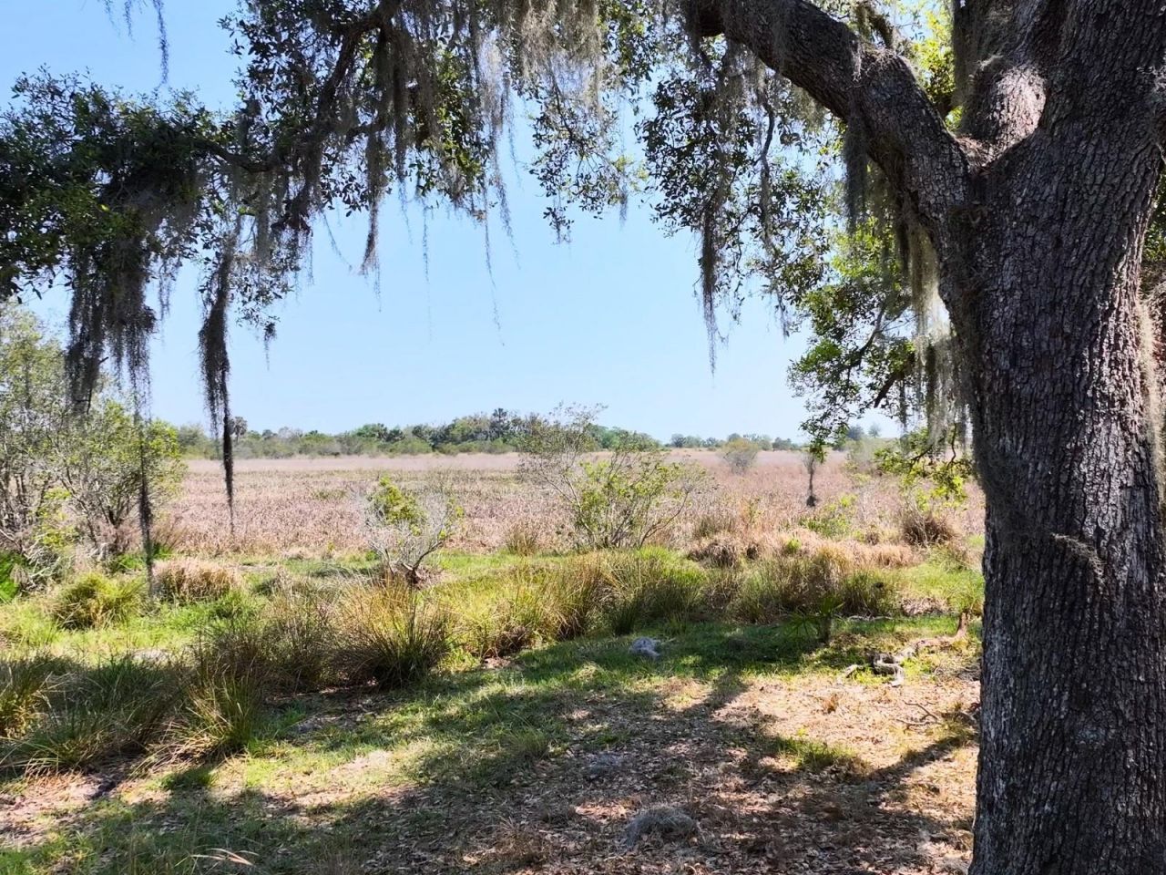 Amber Bell Trail, Lake Placid, FL 33852 Photo