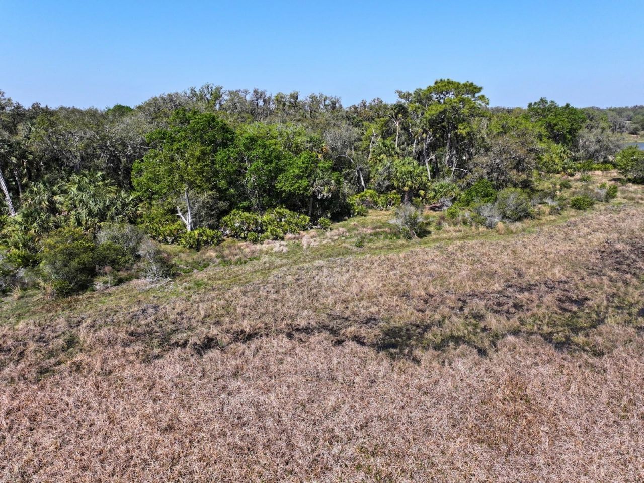 Amber Bell Trail, Lake Placid, FL 33852 Photo