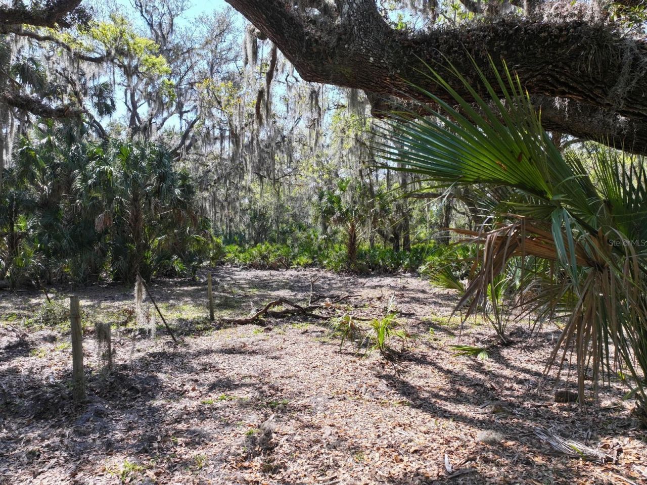 Amber Bell Trail, Lake Placid, FL 33852 Photo