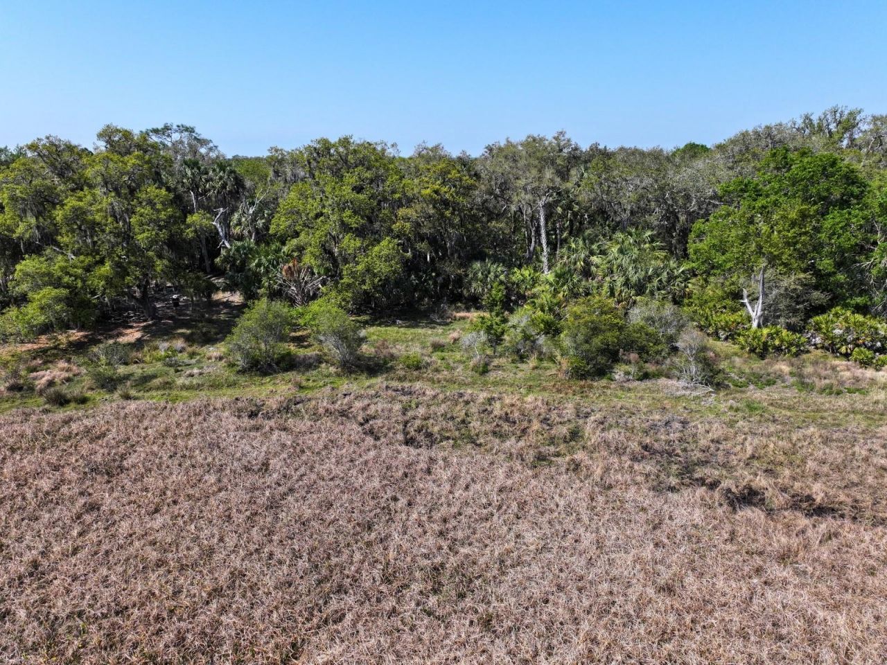 Amber Bell Trail, Lake Placid, FL 33852 Photo