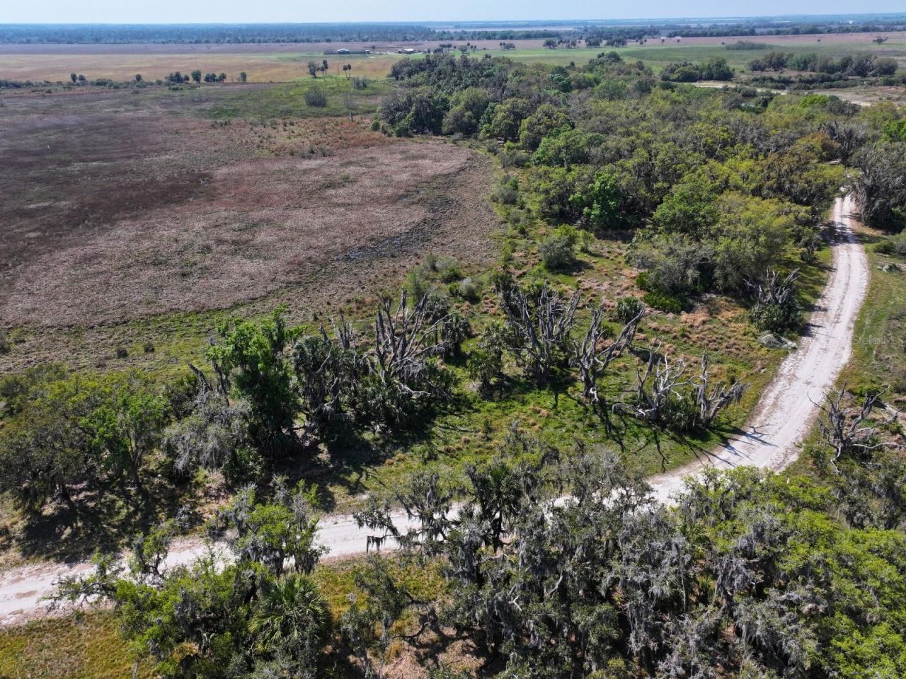 Amber Bell Trail, Lake Placid, FL 33852 Photo