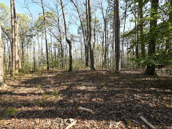 TBD SILVERPOINT Drive, Mount Ida, AR 71957