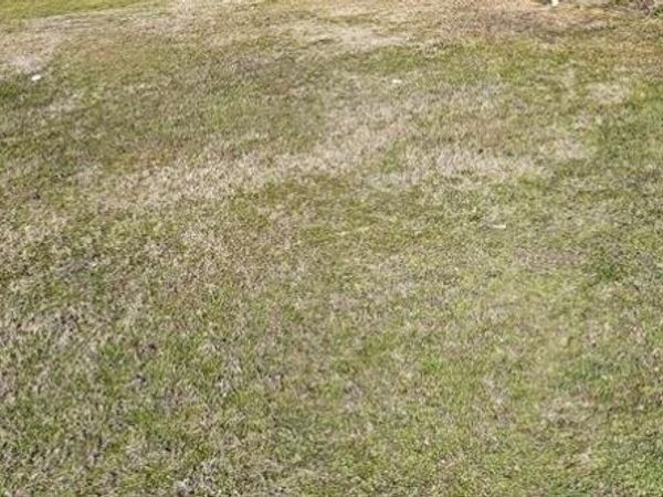 Old Benton Road, Yazoo City, MS 39194