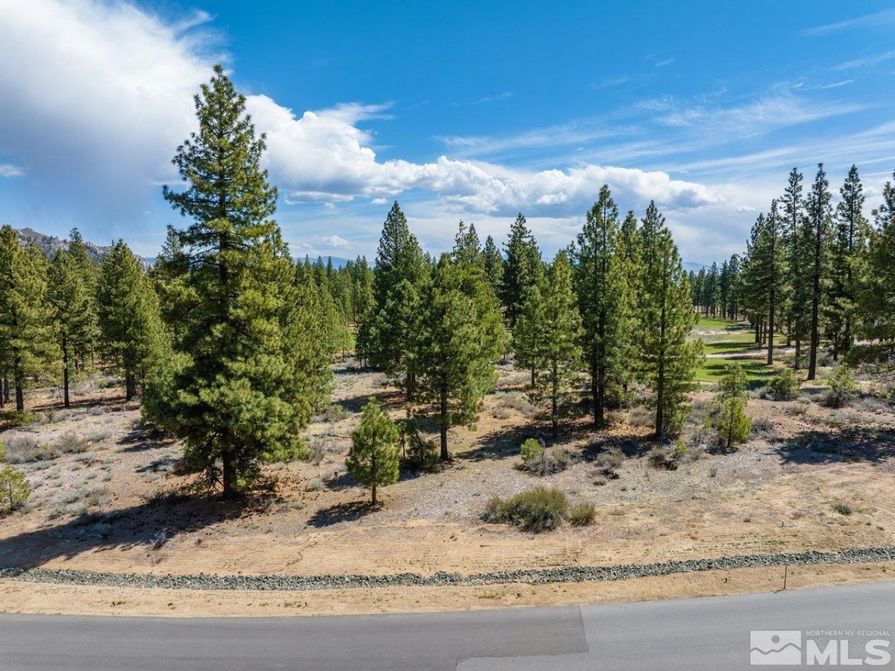 3316 Golf Club Drive, Carson City, NV 89705 Photo