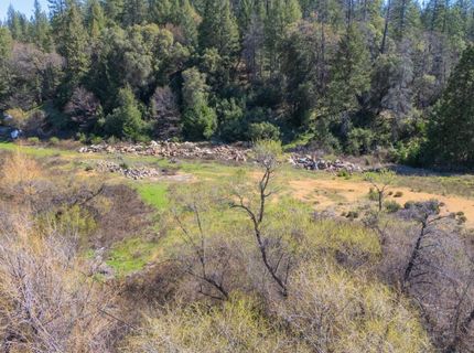 1836 Canyon Way, Colfax, CA 95713 Photo