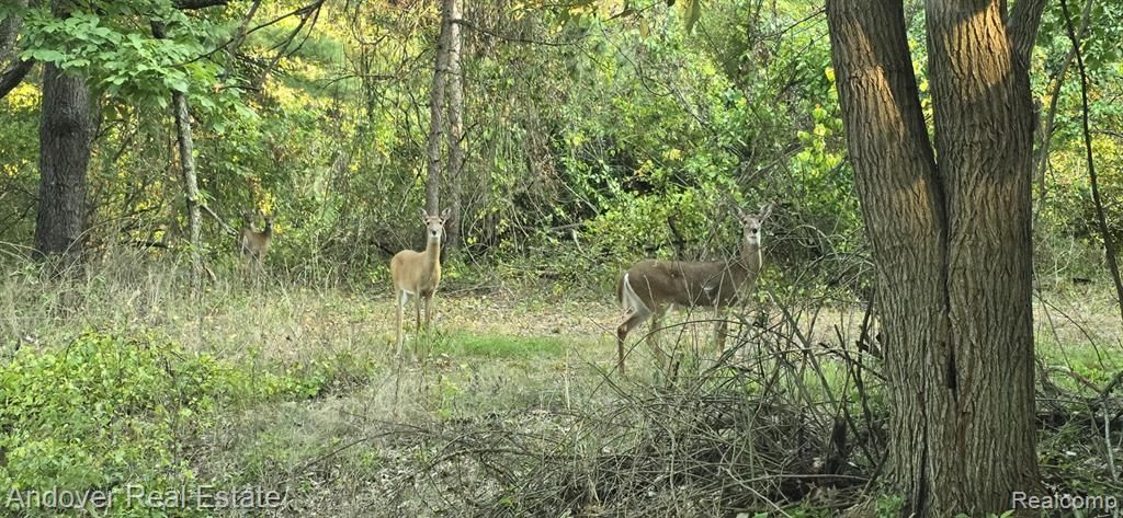 000f N Bay Road, Barry Township, MI 49046 Main Photo