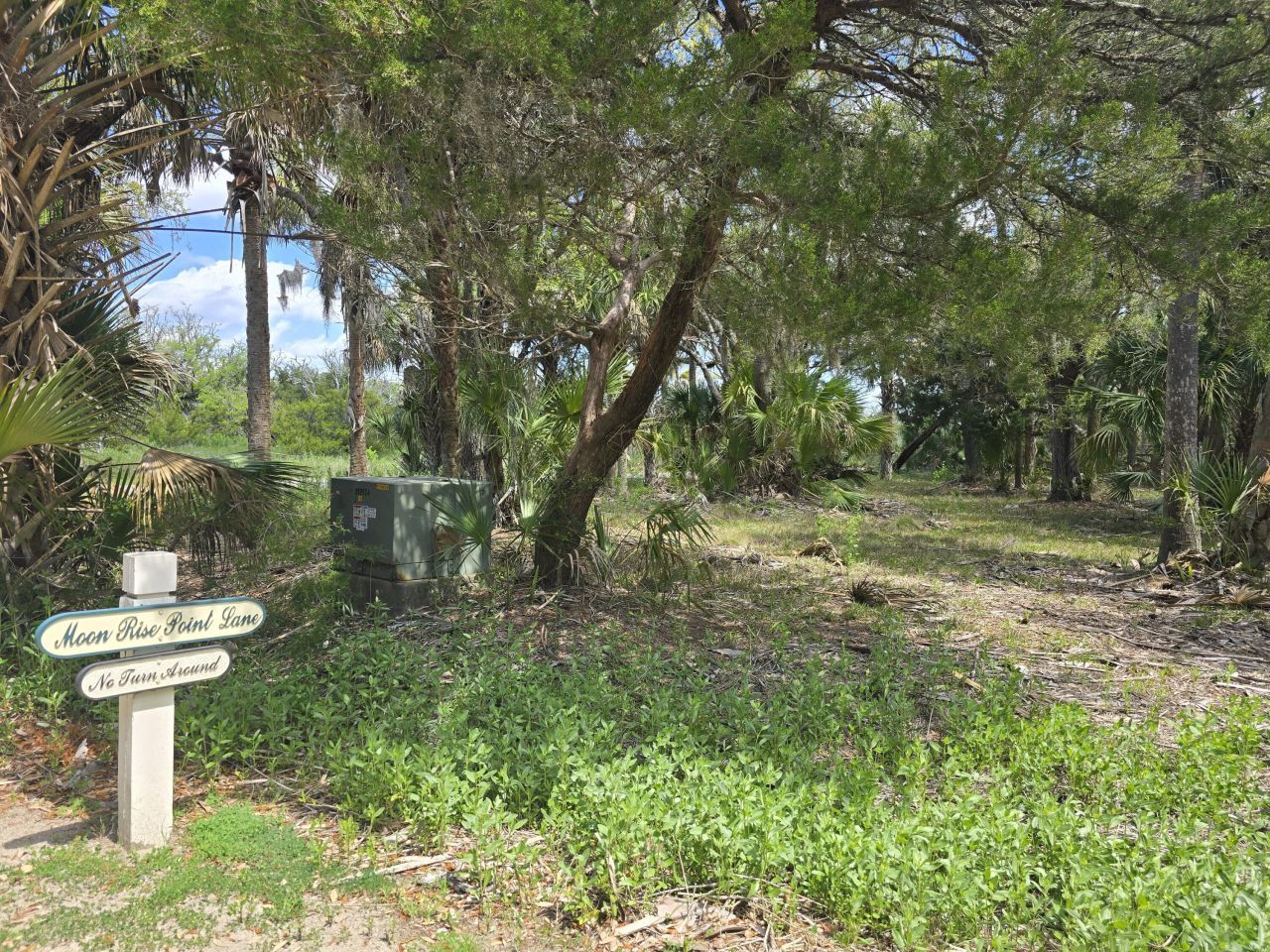 24 Moon Fever Court Photo 10