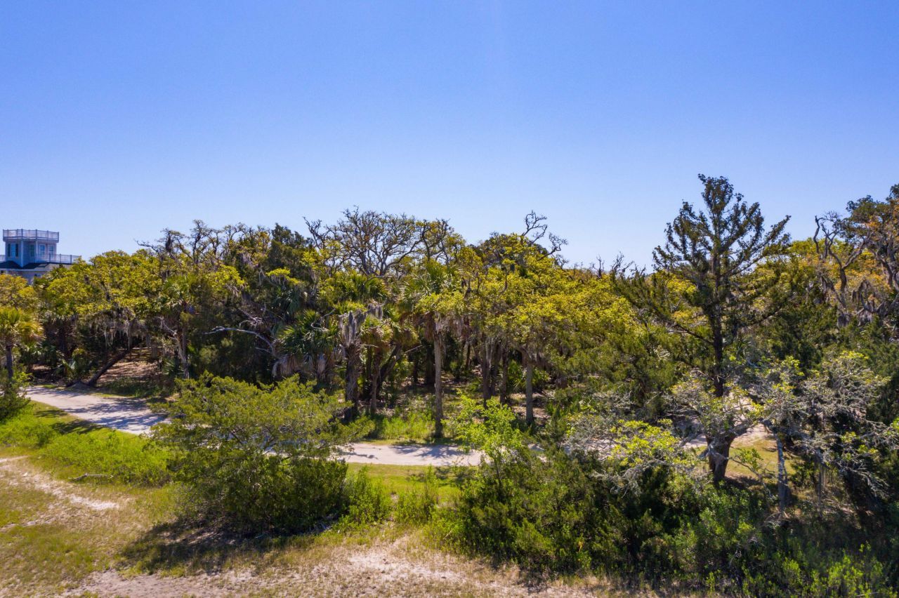 24 Moon Fever Court Photo 18