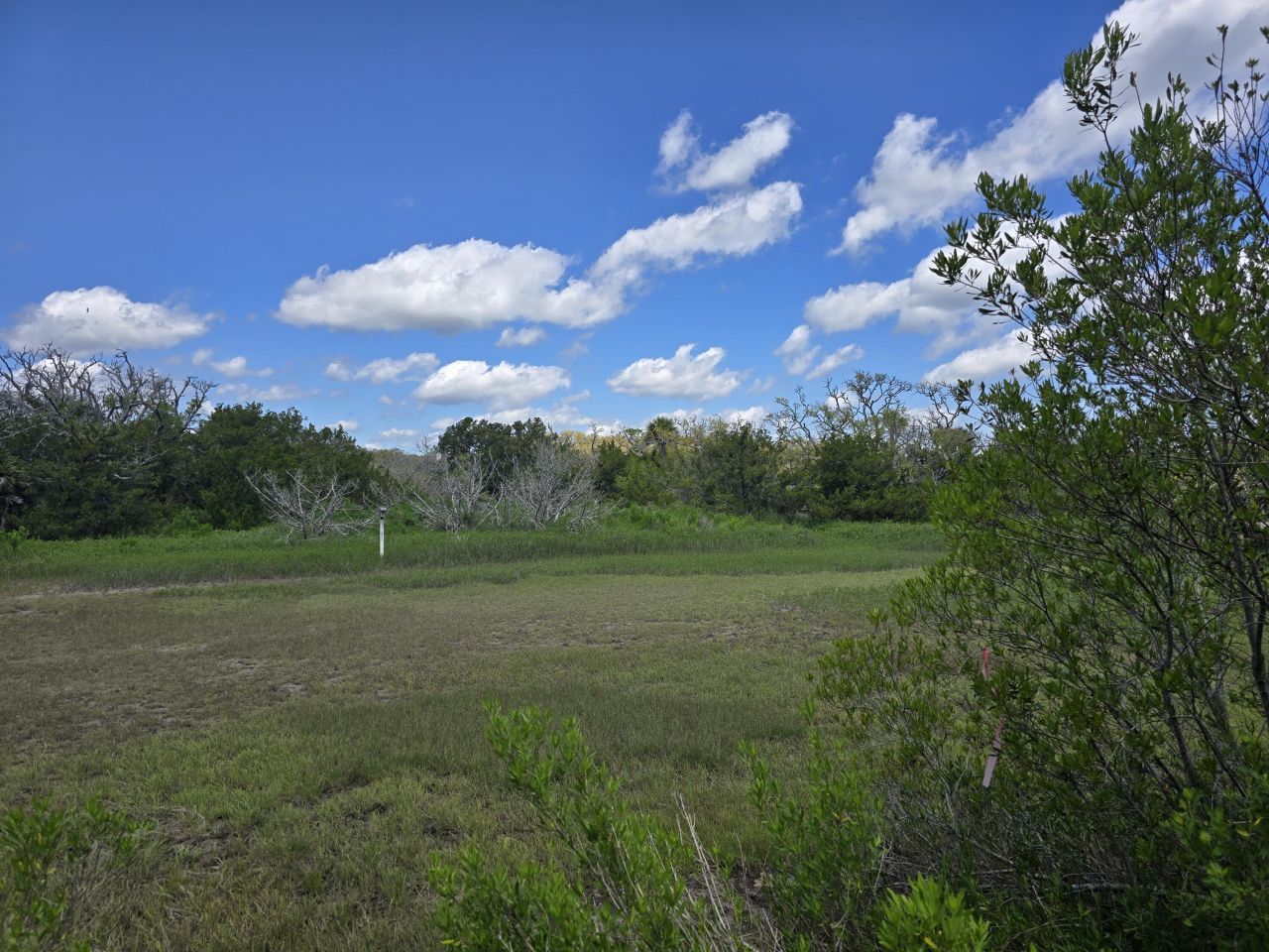 24 Moon Fever Court Photo 4