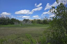 24 Moon Fever Court photo 4