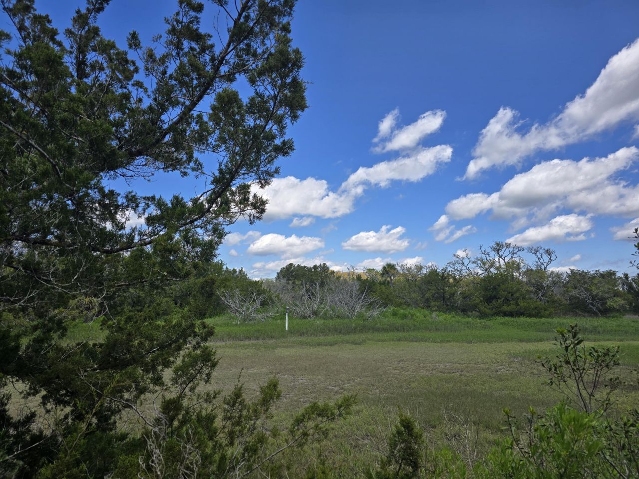 24 Moon Fever Court Photo 5