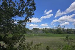 24 Moon Fever Court photo 4