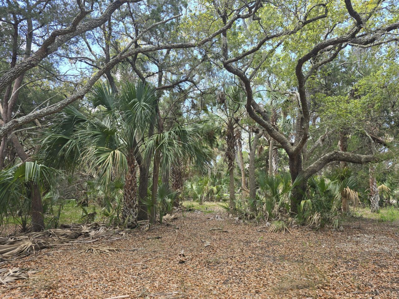 24 Moon Fever Court Photo 6