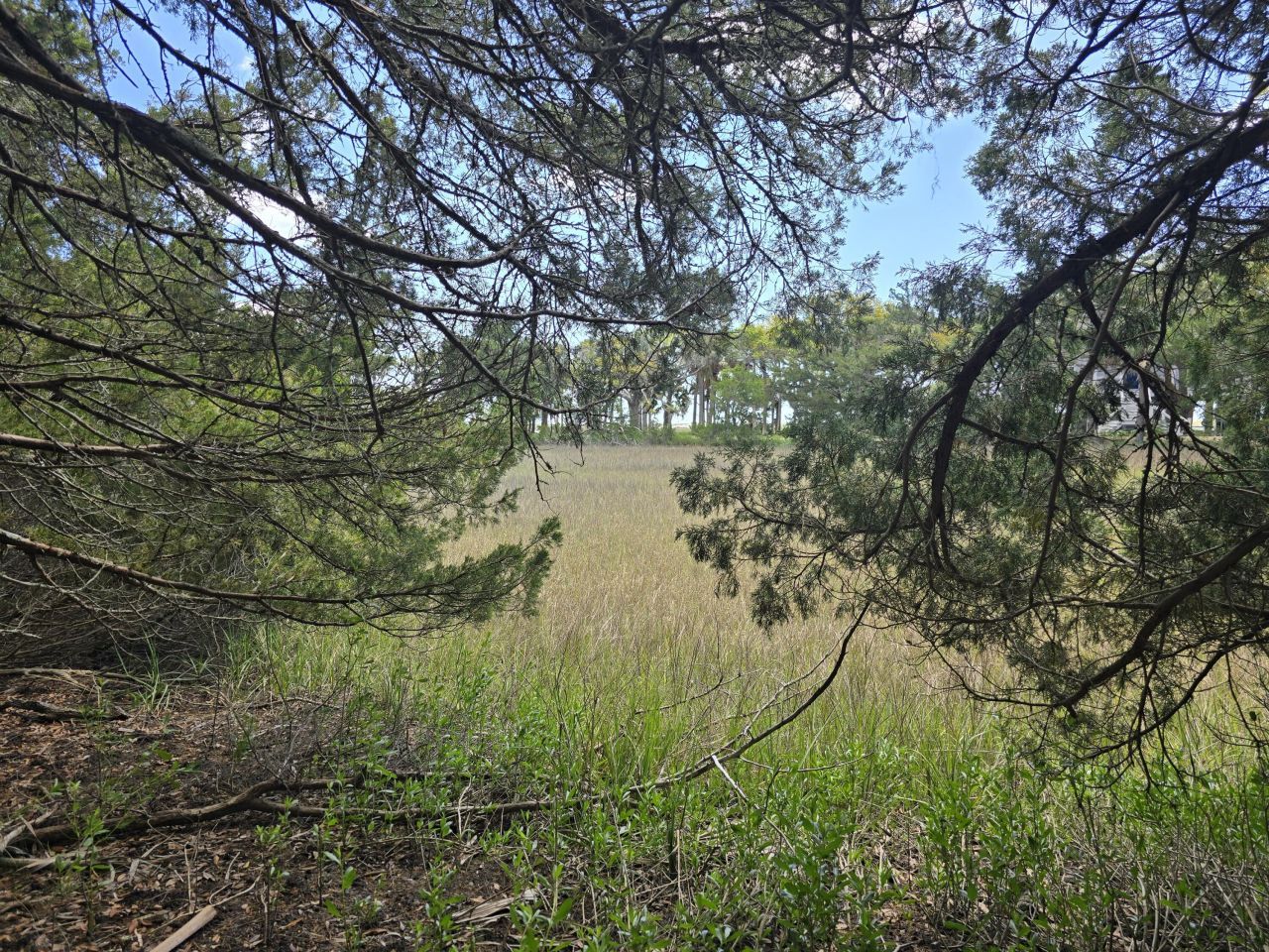 24 Moon Fever Court Photo 7