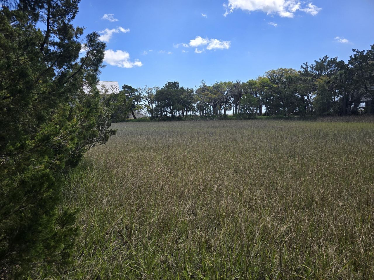 24 Moon Fever Court Photo 8