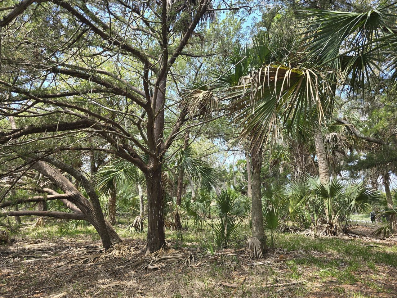 24 Moon Fever Court Photo 9