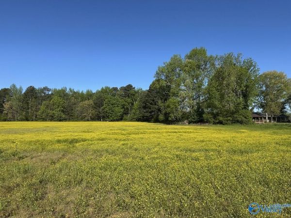 77 +/- ACRES Parker Road, Athens, AL 35611
