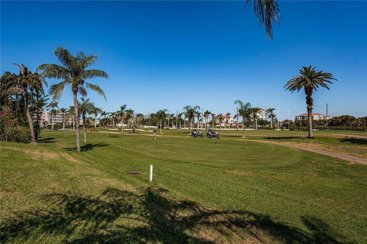 6191 Bahia Del Mar Boulevard, Unit 103, Saint Petersburg, FL 33715 Photo