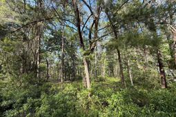 0 Crawford Drive photo 4