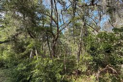 0 Crawford Drive photo 4