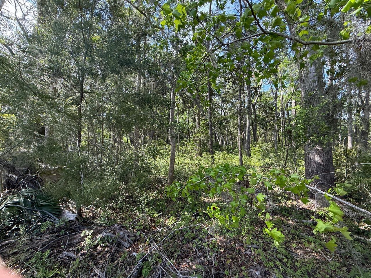 0 Crawford Drive Photo 5