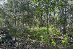 0 Crawford Drive photo 4