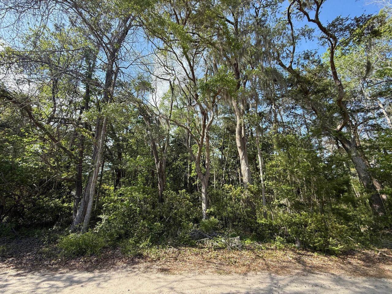 0 Crawford Drive Photo 6