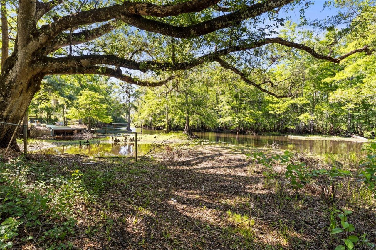 29133 Lawton Drive, Nobleton, FL 34661 Photo