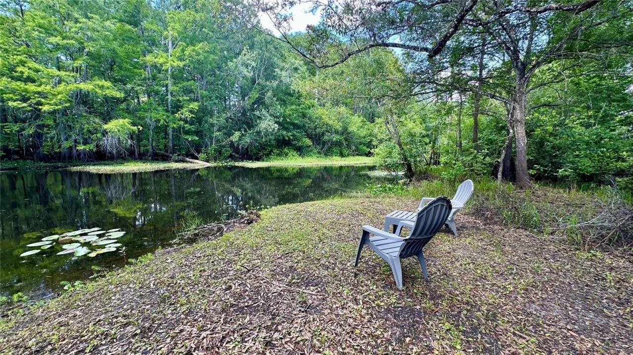 29133 Lawton Drive, Nobleton, FL 34661 Photo