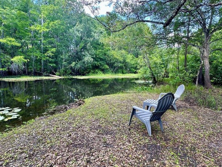 29133 Lawton Drive, Nobleton, FL 34661