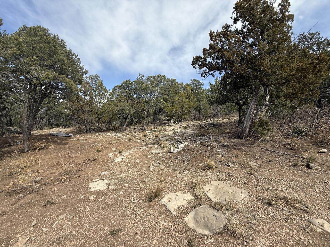 246 Five Hills Drive, Tijeras, NM 87059 Main Photo
