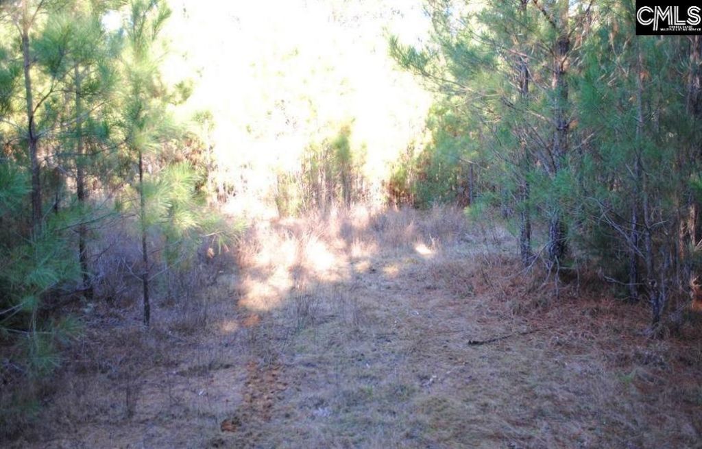 E/s Old Hilton Road Photo 4