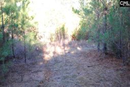 E/s Old Hilton Road photo 4