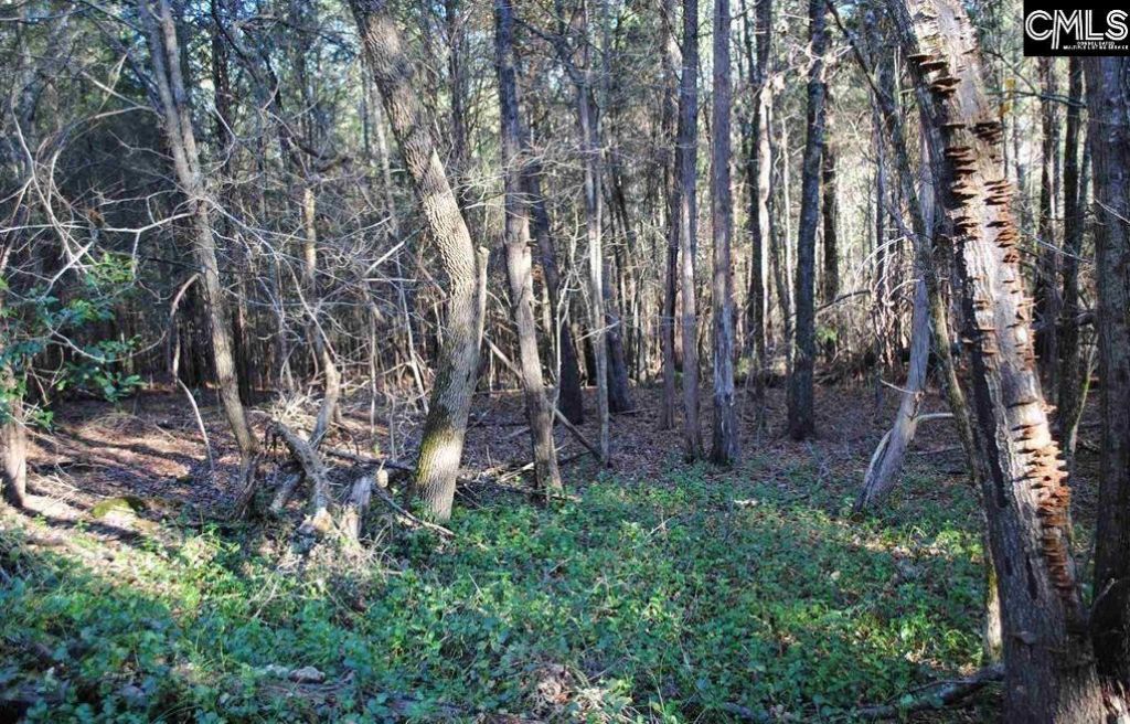 E/s Old Hilton Road Photo 5