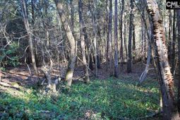 E/s Old Hilton Road photo 4