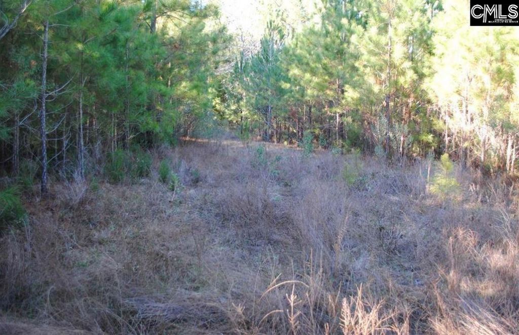 E/s Old Hilton Road Photo 6