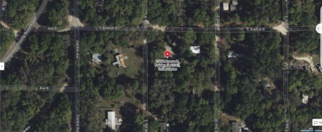 25040 E Avenue B, Paisley, FL 32767 Photo