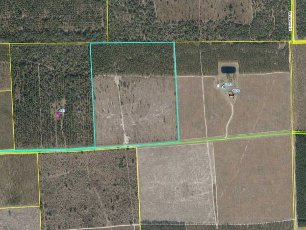 SE PEBBLE ST, Lee, FL 32059