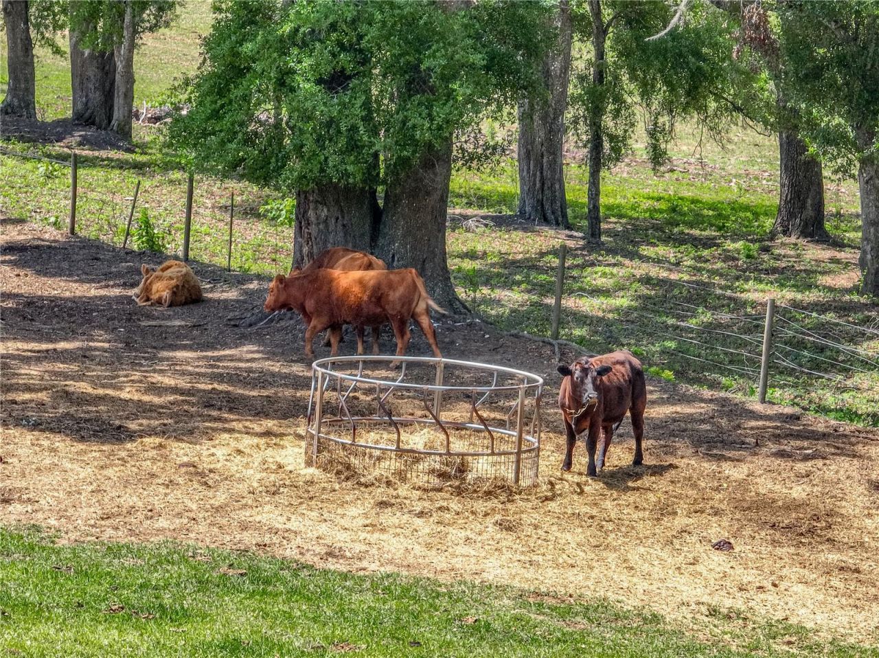 35657 Ashley Lane, Dade City, FL 33523 Photo