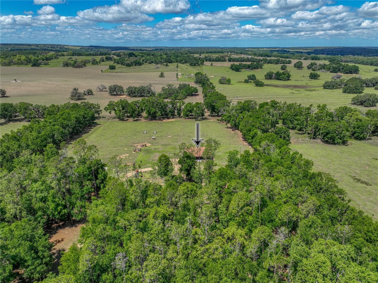 35657 Ashley Lane, Dade City, FL 33523 Photo